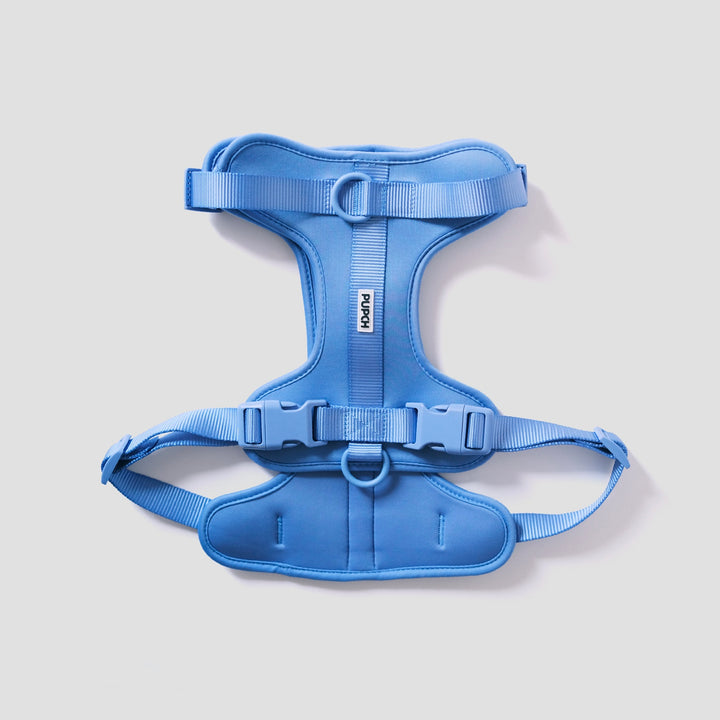 LIGHT BLUE HARNESS